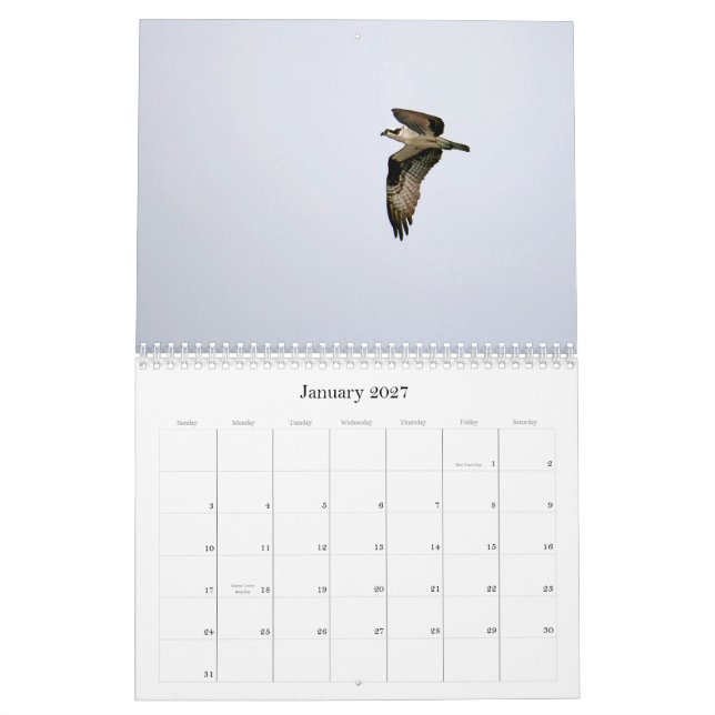Studie av Seahawken Kalender (Jan 2027)