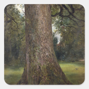 Studie av stammen av ett almträd, c.1821 (olja p fyrkantigt klistermärke