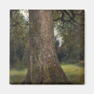 Studie av stammen av ett almträd, c.1821 (olja p magnet