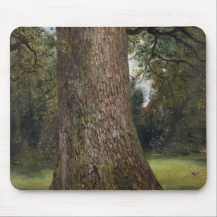 Studie av stammen av ett almträd, c.1821 (olja p musmatta