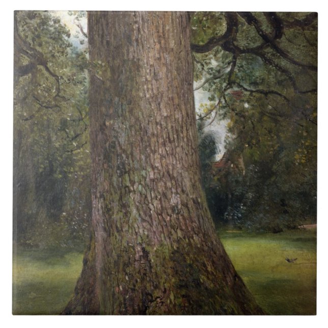 Studie av stammen av ett almträd, c.1821 (olja på kakelplatta (Framsidan)