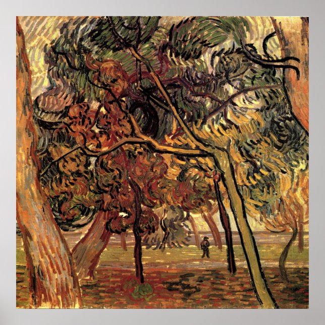 Studie av tallar av Vincent van Gogh Poster (Framsidan)