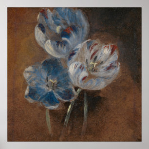 Studie av tre papegojor (Attrib. Constable) Poster