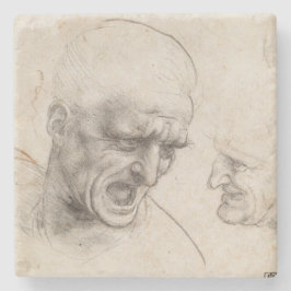 Studie av två krigarehuvud av Leonardo Da Vinci Underlägg Sten