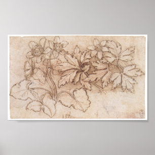 Studie av två växter, Leonardo Da Vinci Poster