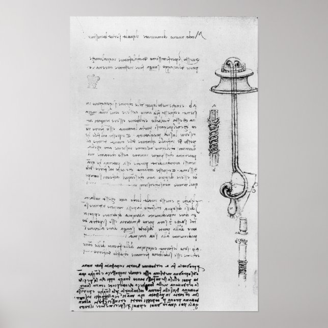 Studie av vattenskotrar med andningsrör för dykare poster (Framsidan)