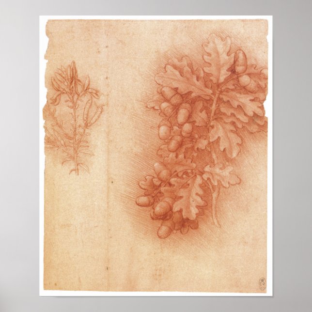 Studie för Borttappad Painting, Leda, Da Vinci Poster (Framsidan)