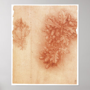 Studie för borttappadmålningen, Leda, Da Vinci Poster