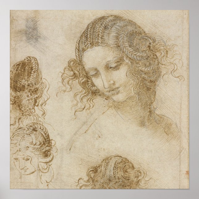 Studie för Ledas huvud av Leonardo da Vinci Poster (Framsidan)