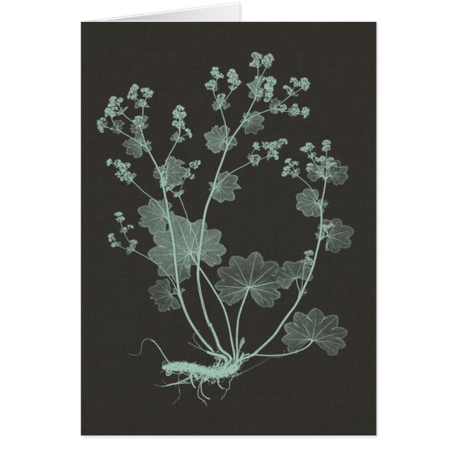 Studie I av myntverk och träkol Hälsningskort (Framsidan)