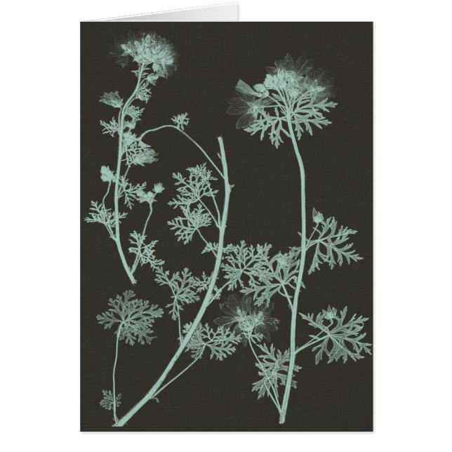 Studie IV av myntverk och träkol Hälsningskort (Framsidan)