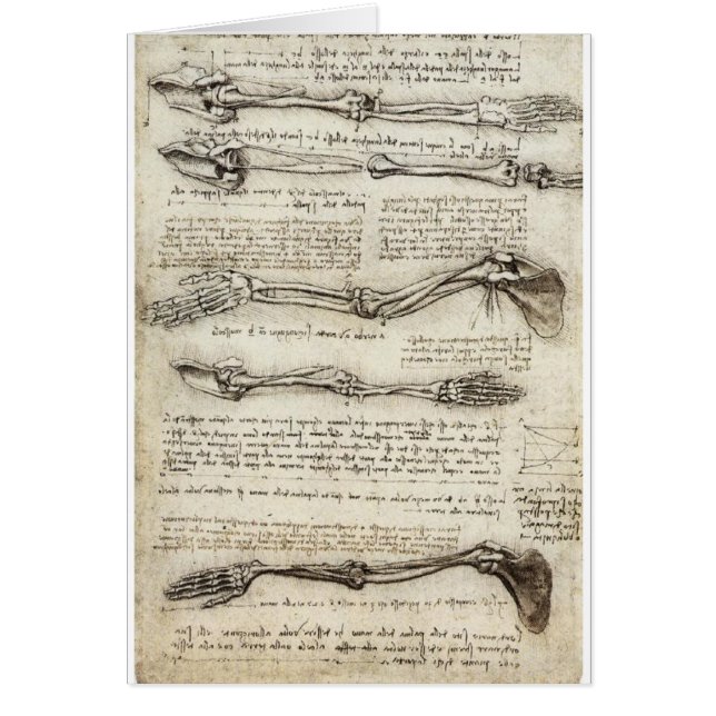 Studier av armen av Leonardo Da Vinci C. 1510 Hälsningskort (Framsidan)