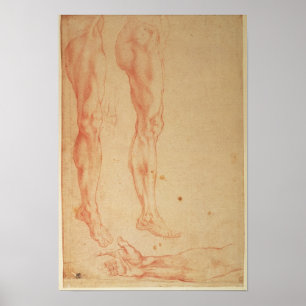 Studier av Ben och Arm Poster