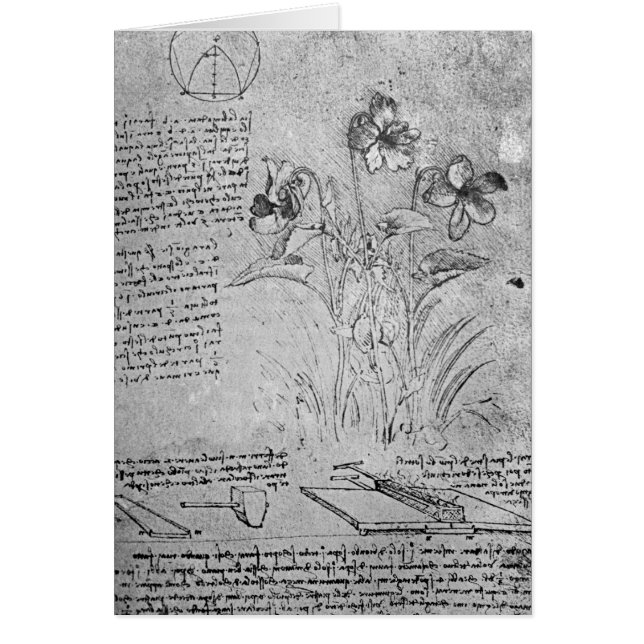 Studier av Violas Hälsningskort (Framsidan)