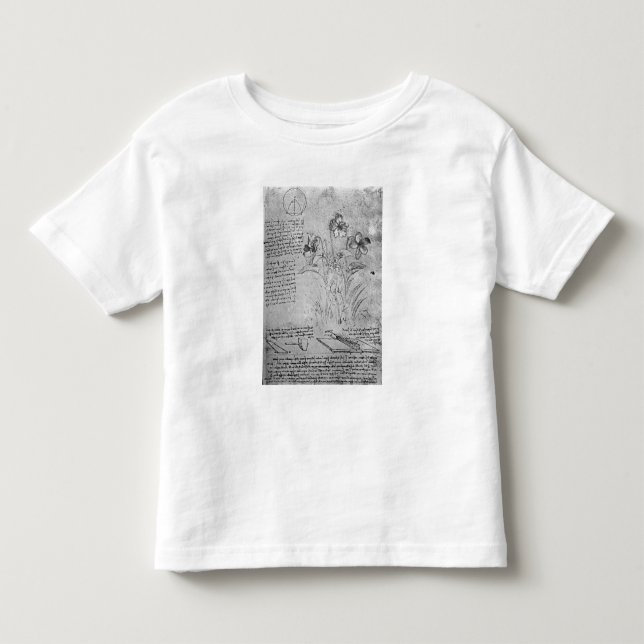 Studier av Violas Tee Shirt (Framsida)