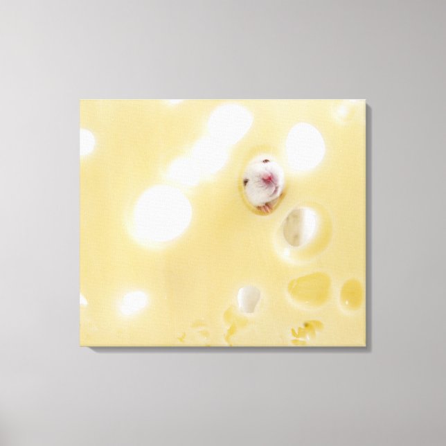 Studio-bild av vit mus tittar genom hål canvastryck (Framsida)