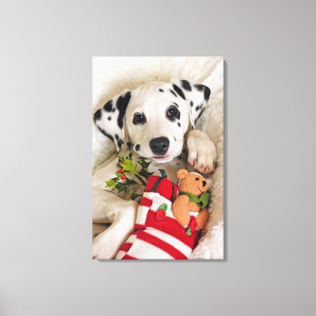 studio canvastryck (Framsida)