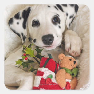 studio fyrkantigt klistermärke