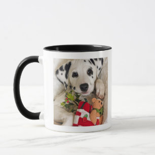 studio mugg