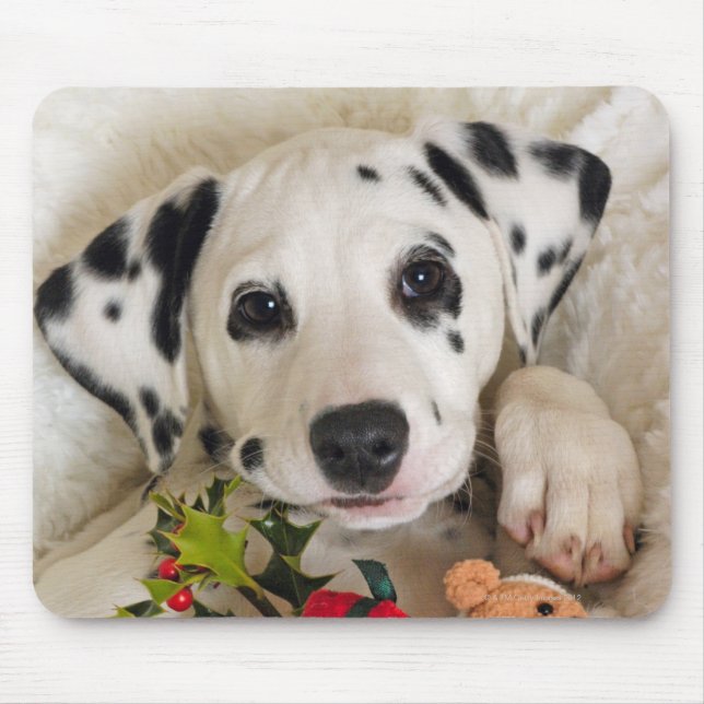 studio musmatta (Framsidan)