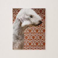 Studio shot of Bedlington Terrier