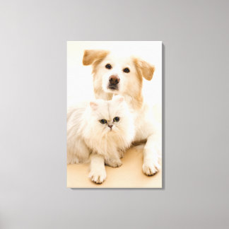 Studio shot of cat and hund canvastryck