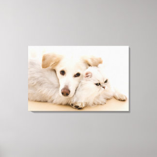 Studio shot of cat and hund canvastryck
