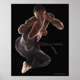 Studio shot shot of martial Arts praktikers in Poster