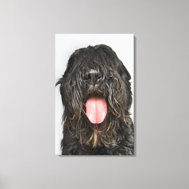 Studio-skott Canvastryck (Framsida)