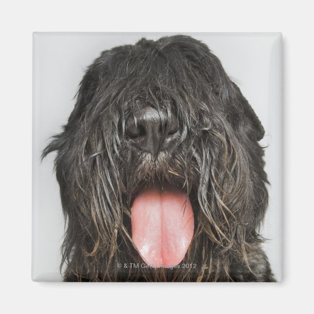 Studio-skott Magnet (Framsidan)