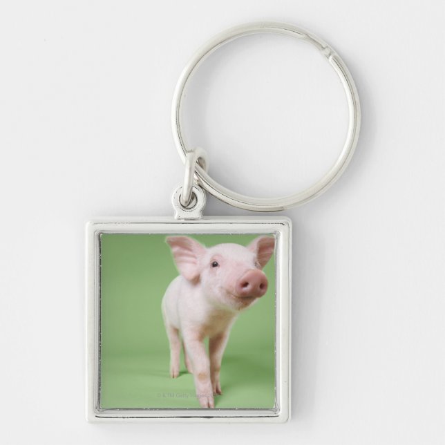 Studio som klipps ut ur ett Pigletanseende Fyrkantig Silverfärgad Nyckelring (Framsidan)