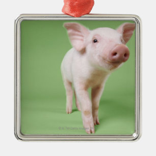 Studio som klipps ut ur ett Pigletanseende Julgransprydnad Metall