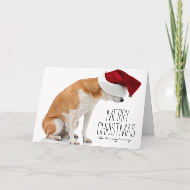Studio som skjutas av den Shiba Inu hunden som ha Helgkort (Framsida)
