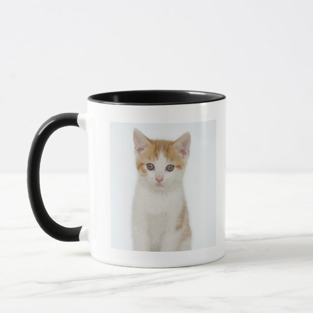 Studio som skjutas av kattunge mugg (Vänster)