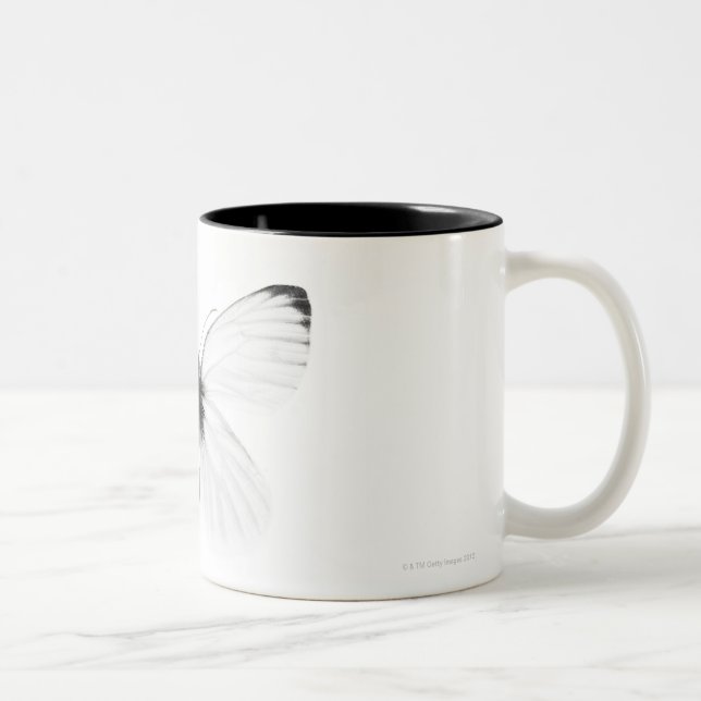 Studio som skjutas av kor-veined vitfjäril Två-Tonad mugg (Höger)