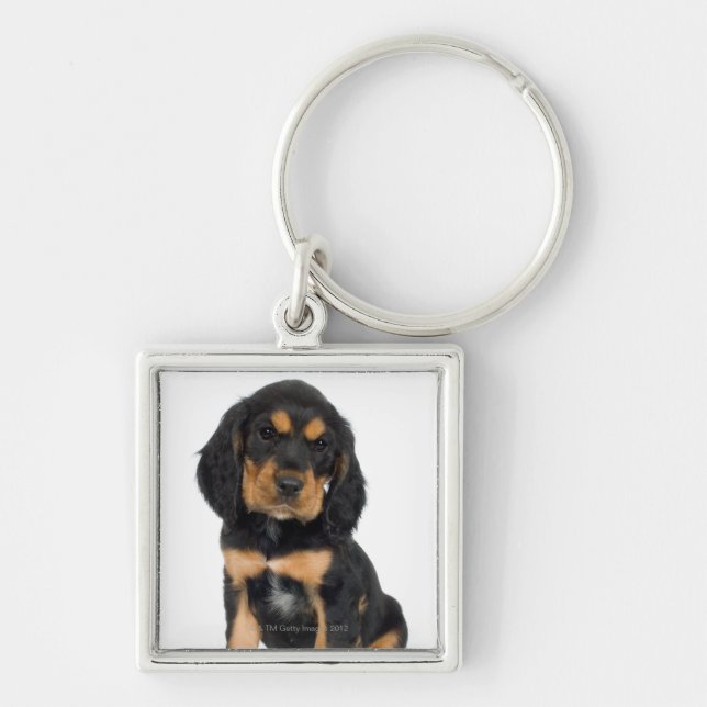 Studioporträtt av den Rottweiler valpen Fyrkantig Silverfärgad Nyckelring (Framsidan)