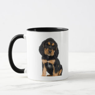 Studioporträtt av den Rottweiler valpen Mugg