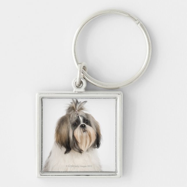 Studioporträtt av Shih Tzu Fyrkantig Silverfärgad Nyckelring (Framsidan)
