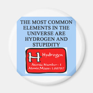 STUDITET MAGNET