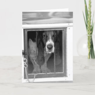 studs fängelse kort