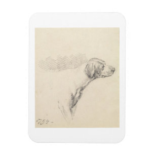 Study of a Hound, 1794 (penna på papper) Magnet