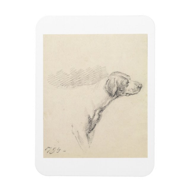 Study of a Hound, 1794 (penna på papper) Magnet (Vertikal)
