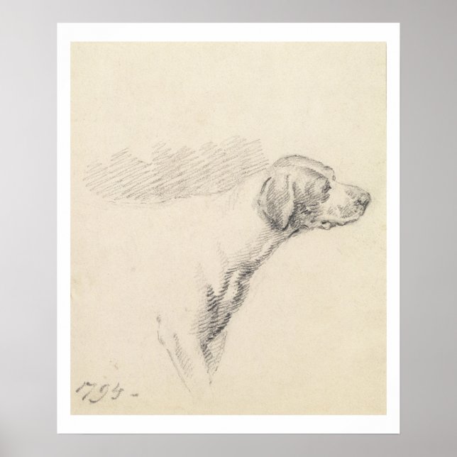 Study of a Hound, 1794 (penna på papper) Poster (Framsidan)
