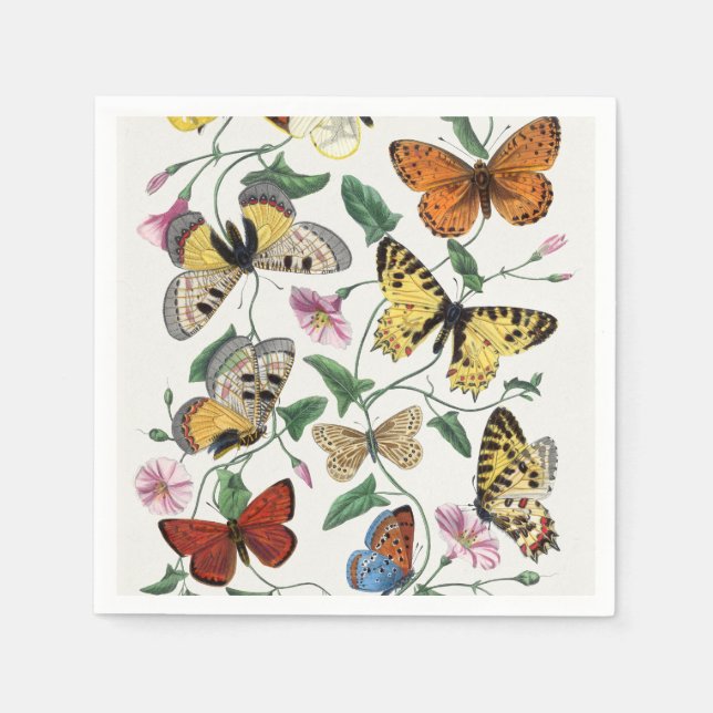 Study of diurnal butterflies by Paul Gervais Pappersservett (Framsidan)