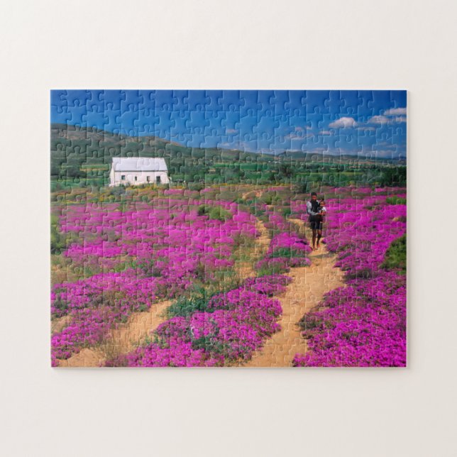 Stuga, blommor och flicka, nära Kamieskroon Pussel (Horisontell)