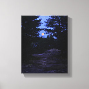 Stugalandmoonrise i skogen canvastryck