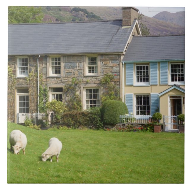 Stugor, Beddgelert, Gwynedd, Wales Kakelplatta (Framsidan)