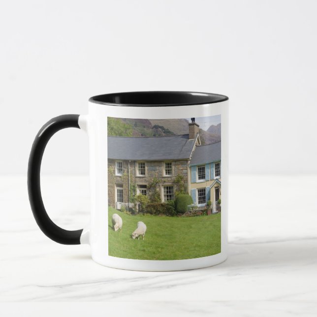 Stugor, Beddgelert, Gwynedd, Wales Mugg (Vänster)