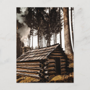 STUGOR I SKOGEN POSTKORT VYKORT