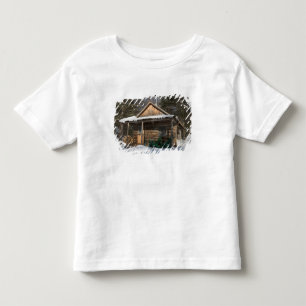 Stugorna vid AMC:s Little Lyford Pond Tee
